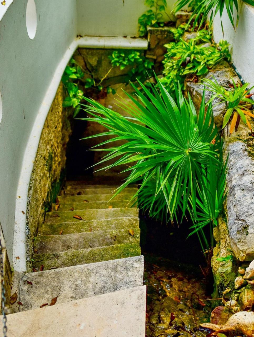 El Tropical Playa Del Carmen Hotel Kültér fotó